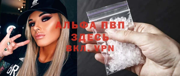 шишки Медвежьегорск