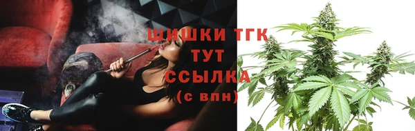 шишки Медвежьегорск