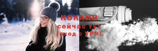 шишки Медвежьегорск