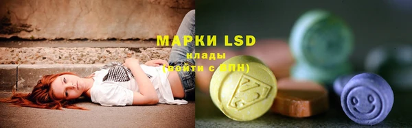 шишки Медвежьегорск