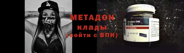 шишки Медвежьегорск