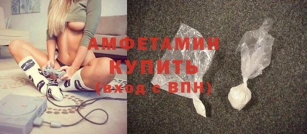 шишки Медвежьегорск