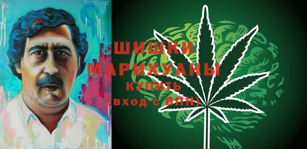 шишки Медвежьегорск