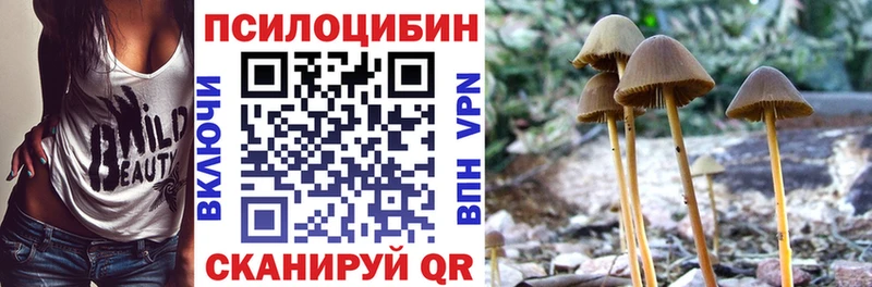Галлюциногенные грибы Magic Shrooms блэк спрут как войти Чистополь
