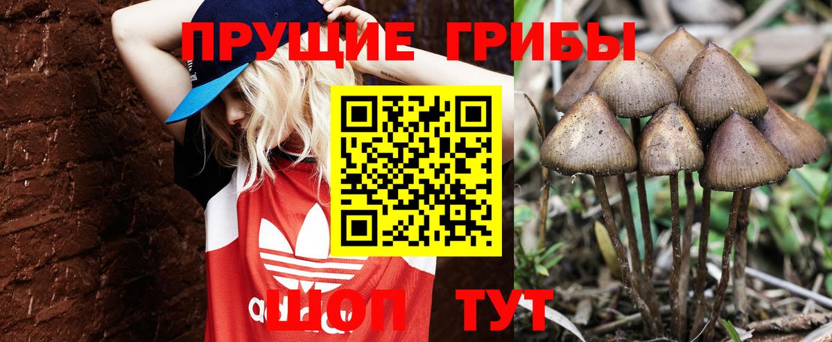 Псилоцибиновые грибы GOLDEN TEACHER  Вход с VPN  Чистополь 