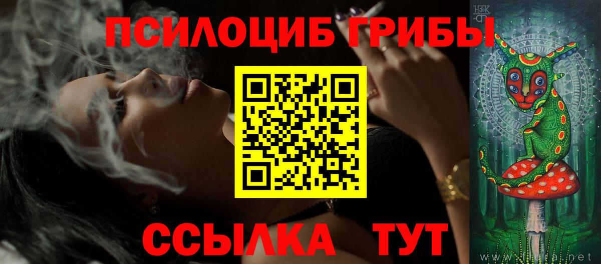 Галлюциногенные грибы Psilocybine cubensis  Чистополь  Галлюциногенные грибы ЛСД 